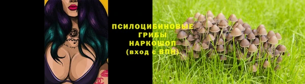 спиды Приозерск