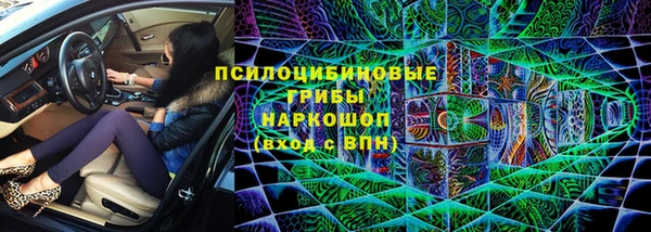 PSILOCYBIN Протвино