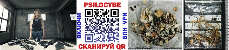 Галлюциногенные грибы Psilocybine cubensis  мега как зайти  Сольцы  наркошоп 